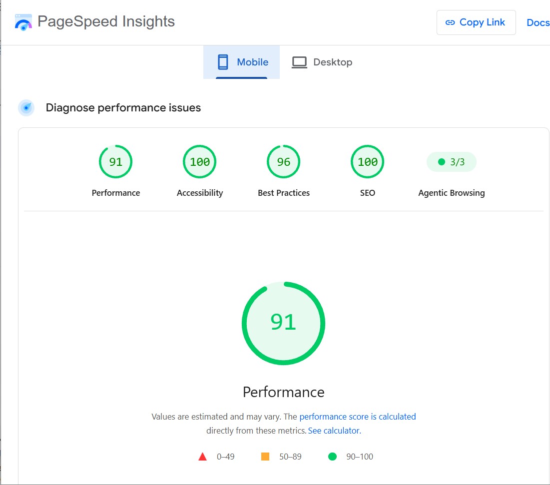Google PageSpeed Insights mobile report: 91 Performance, 100 Accessibility, 96 Best Practices, 100 SEO, 3/3 Agentic Browsing