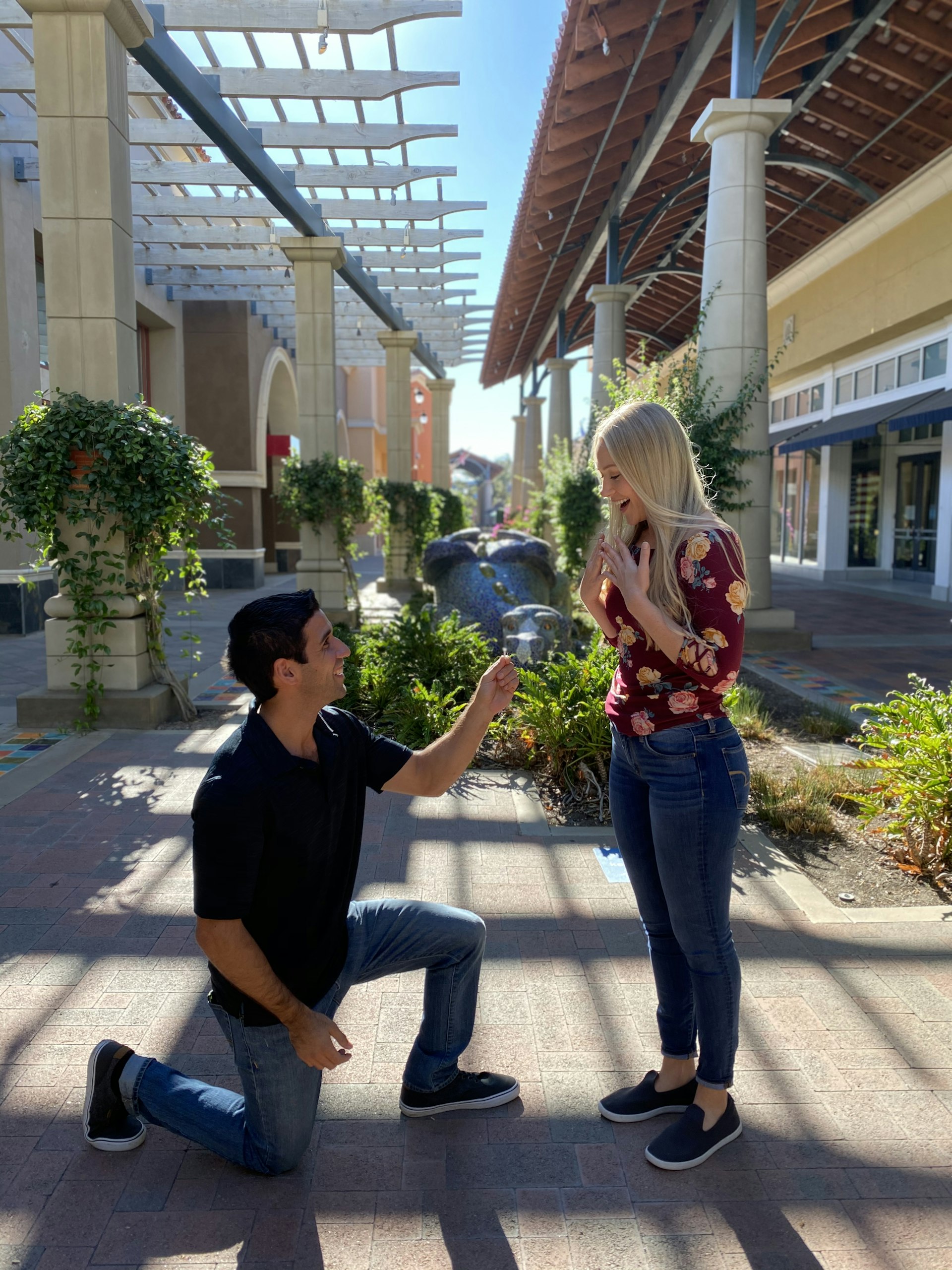 Simi Valley commercial district